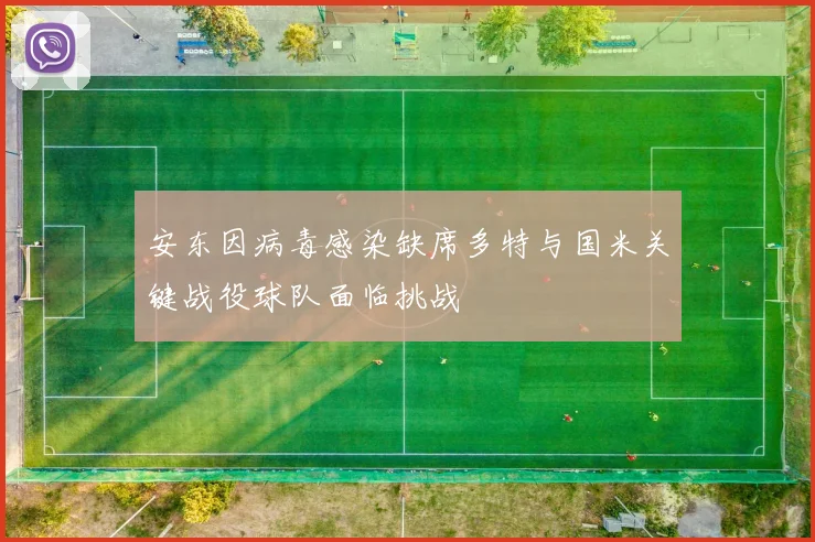 安东因病毒感染缺席多特与国米关键战役球队面临挑战
